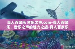 真人百家乐 音乐之声.com-真人百家乐，音乐之声的魅力之旅-真人百家乐 音乐之声.com