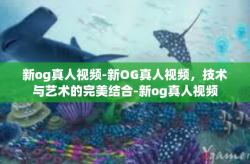 新og真人视频-新OG真人视频，技术与艺术的完美结合-新og真人视频