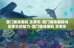 澳门赌场筹码 百家乐-澳门赌场筹码与百家乐的魅力-澳门赌场筹码 百家乐