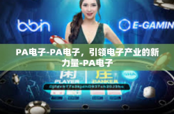 PA电子-PA电子，引领电子产业的新力量-PA电子