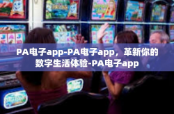 PA电子app-PA电子app，革新你的数字生活体验-PA电子app