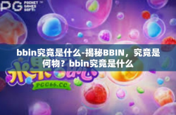 bbin究竟是什么-揭秘BBIN，究竟是何物？bbin究竟是什么