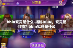bbin究竟是什么-揭秘BBIN，究竟是何物？bbin究竟是什么