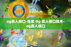 og真人接口-探索 Og 真人接口技术-og真人接口