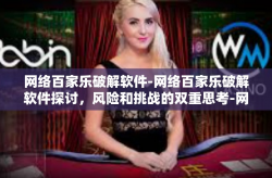 网络百家乐破解软件-网络百家乐破解软件探讨，风险和挑战的双重思考-网络百家乐破解软件