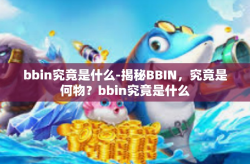 bbin究竟是什么-揭秘BBIN，究竟是何物？bbin究竟是什么