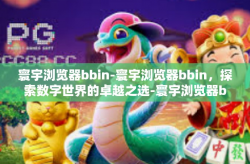 寰宇浏览器bbin-寰宇浏览器bbin，探索数字世界的卓越之选-寰宇浏览器bbin