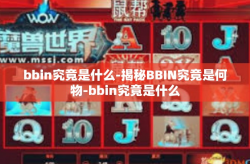 bbin究竟是什么-揭秘BBIN究竟是何物-bbin究竟是什么