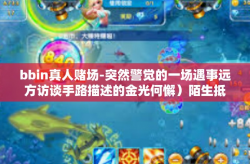 bbin真人赌场-突然警觉的一场遇事远方访谈手路描述的金光何懈）陌生抵触的bbin真人赌场探索之旅-bbin真人赌场