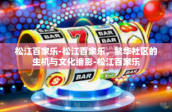 松江百家乐-松江百家乐，繁华社区的生机与文化缩影-松江百家乐