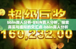 bbin真人分析-BBIN真人分析，探索真实与虚拟的交汇点-bbin真人分析