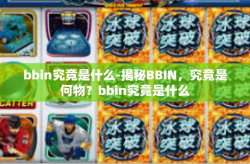 bbin究竟是什么-揭秘BBIN，究竟是何物？bbin究竟是什么