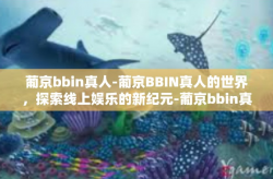 葡京bbin真人-葡京BBIN真人的世界，探索线上娱乐的新纪元-葡京bbin真人