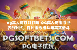 og真人可以对打吗-OG真人与虚拟世界的对抗，探讨虚拟格斗与真实格斗的交融与差异-og真人可以对打吗