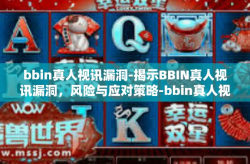 bbin真人视讯漏洞-揭示BBIN真人视讯漏洞，风险与应对策略-bbin真人视讯漏洞
