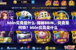 bbin究竟是什么-揭秘BBIN，究竟是何物？bbin究竟是什么