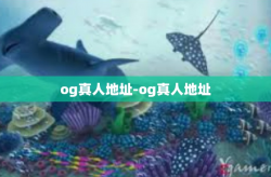 og真人地址-og真人地址