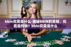 bbin究竟是什么-揭秘BBIN的真相，究竟是何物？bbin究竟是什么
