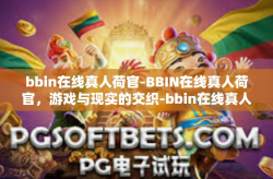 bbin在线真人荷官-BBIN在线真人荷官，游戏与现实的交织-bbin在线真人荷官