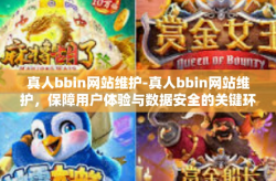 真人bbin网站维护-真人bbin网站维护，保障用户体验与数据安全的关键环节-真人bbin网站维护