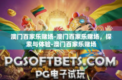 澳门百家乐赌场-澳门百家乐赌场，探索与体验-澳门百家乐赌场