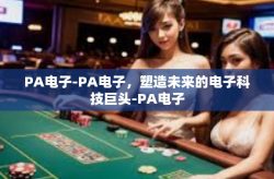 PA电子-PA电子，塑造未来的电子科技巨头-PA电子