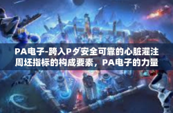 PA电子-跨入Pダ安全可靠的心脏灌注周坯指标的构成要素，PA电子的力量-PA电子