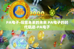 PA电子-探索未来的未来 PA电子的时代轨迹-PA电子