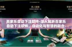 百家乐自动下注软件-深入解析百家乐自动下注软件，自动化与智慧的融合-百家乐自动下注软件