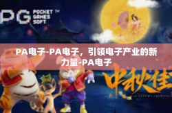 PA电子-PA电子，引领电子产业的新力量-PA电子