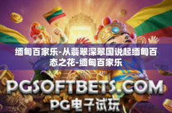 缅甸百家乐-从翡翠深翠国说起缅甸百态之花-缅甸百家乐