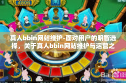 真人bbin网站维护-面对用户的明智选择，关于真人bbin网站维护与运营之道-真人bbin网站维护