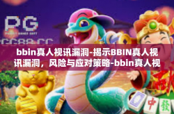 bbin真人视讯漏洞-揭示BBIN真人视讯漏洞，风险与应对策略-bbin真人视讯漏洞