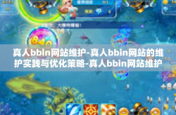 真人bbin网站维护-真人bbin网站的维护实践与优化策略-真人bbin网站维护