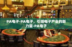 PA电子-PA电子，引领电子产业的新力量-PA电子