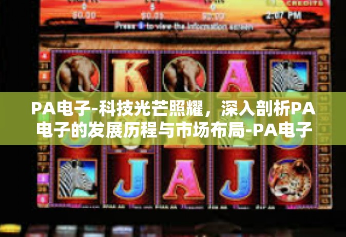 PA电子-科技光芒照耀，深入剖析PA电子的发展历程与市场布局-PA电子