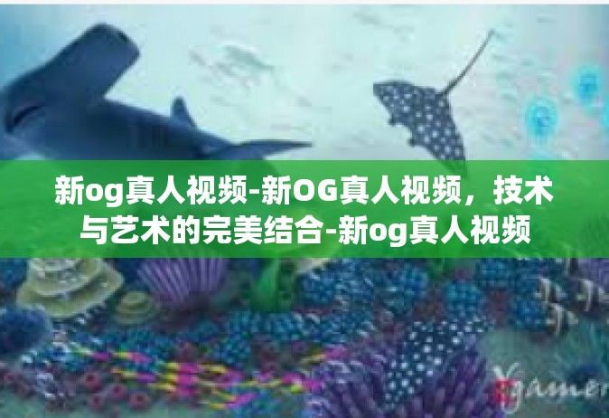 新og真人视频-新OG真人视频，技术与艺术的完美结合-新og真人视频