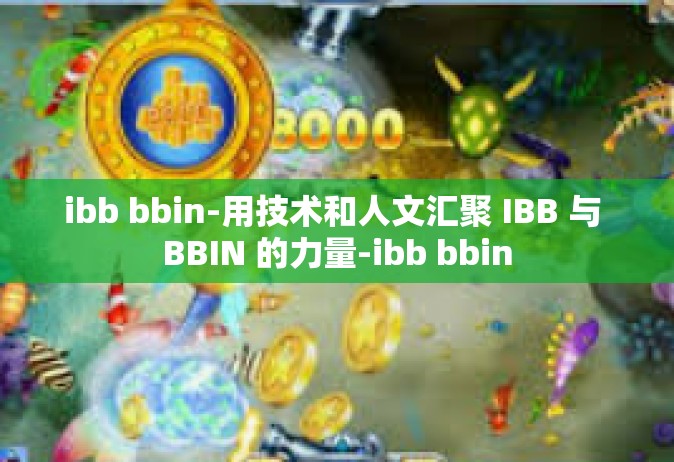 ibb bbin-用技术和人文汇聚 IBB 与 BBIN 的力量-ibb bbin