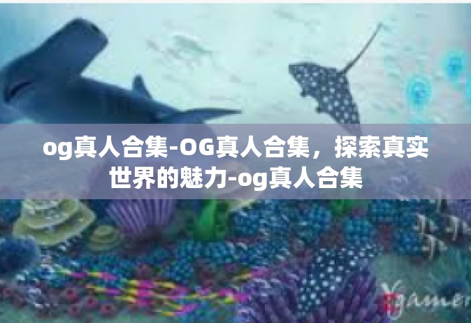 og真人合集-OG真人合集，探索真实世界的魅力-og真人合集