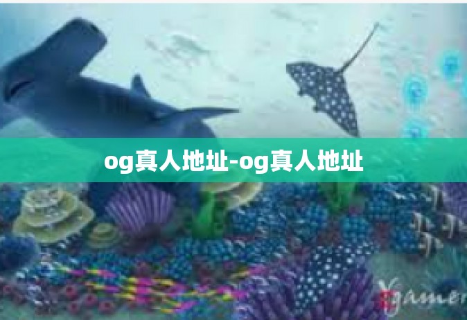 og真人地址-og真人地址