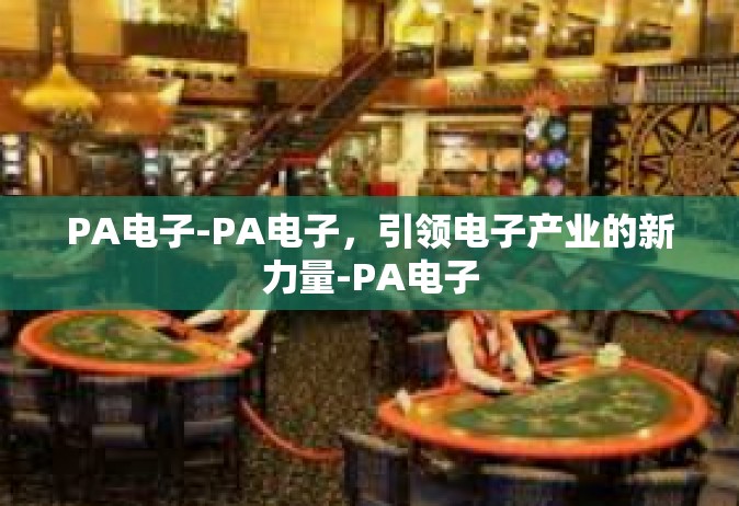 PA电子-PA电子，引领电子产业的新力量-PA电子