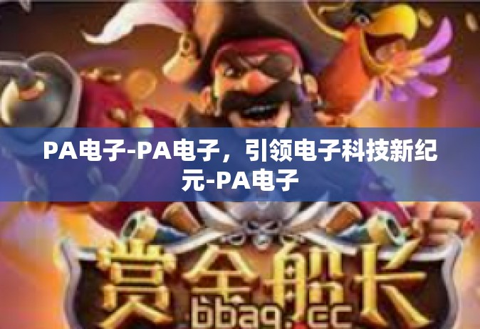 PA电子-PA电子，引领电子科技新纪元-PA电子