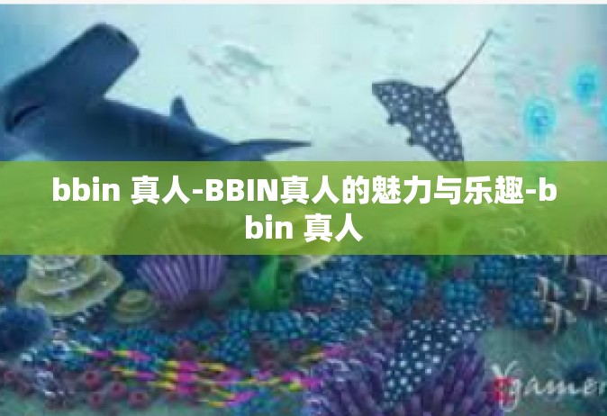 bbin 真人-BBIN真人的魅力与乐趣-bbin 真人