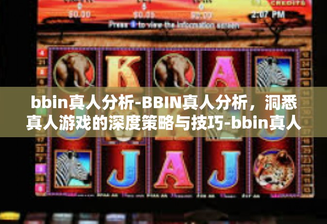bbin真人分析-BBIN真人分析，洞悉真人游戏的深度策略与技巧-bbin真人分析