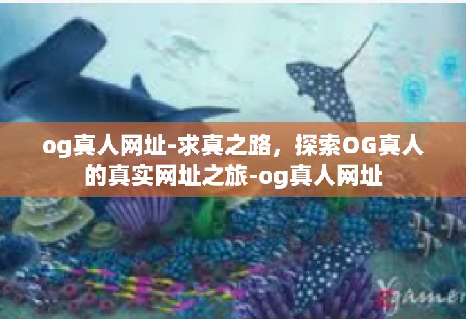 og真人网址-求真之路，探索OG真人的真实网址之旅-og真人网址