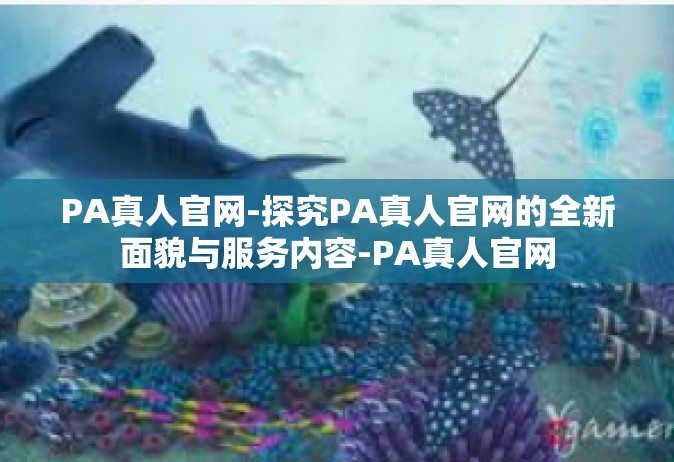 PA真人官网-探究PA真人官网的全新面貌与服务内容-PA真人官网
