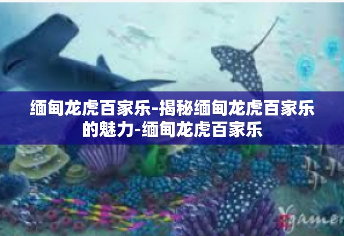 缅甸龙虎百家乐-揭秘缅甸龙虎百家乐的魅力-缅甸龙虎百家乐