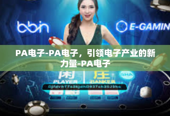 PA电子-PA电子，引领电子产业的新力量-PA电子